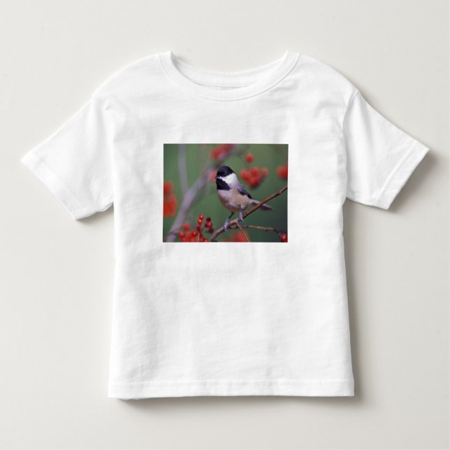 Carolina Chickadee Toddler T-Shirt (Front)
