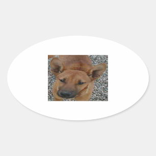 Carolina dog.png oval sticker