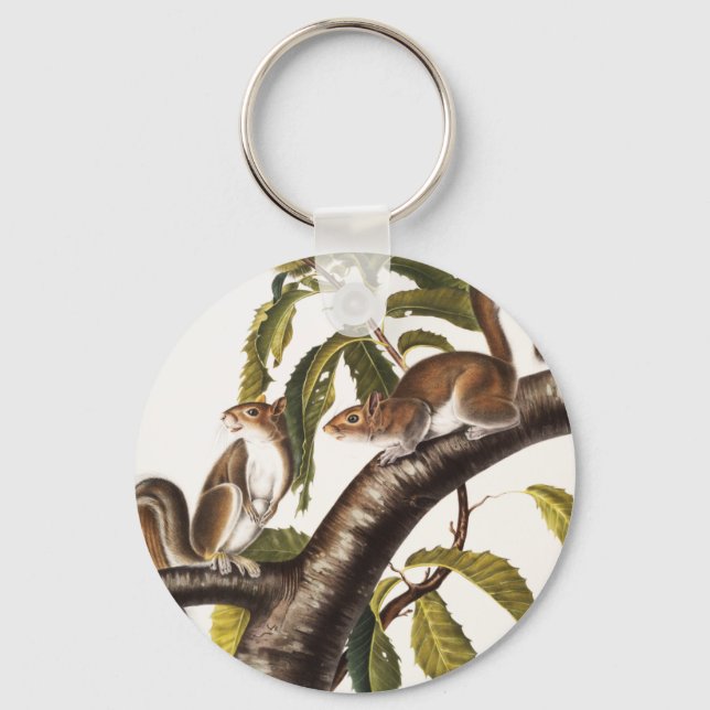 Carolina Grey Squirrel (Sciurus Carolinensis) Key Ring (Front)