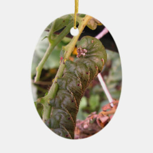 Carolina Hornworm ~ ornament