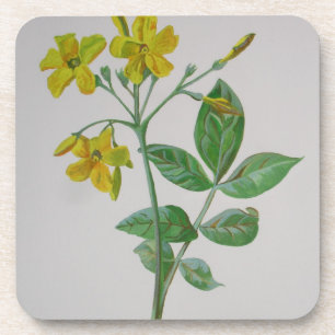 Carolina Jasmine Botanical Art Coaster