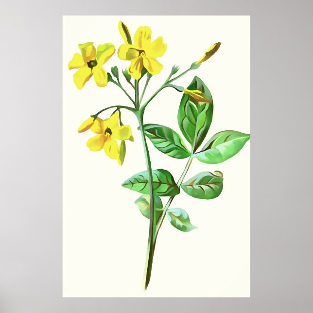 Carolina Jasmine Botanical Art Poster (Front)