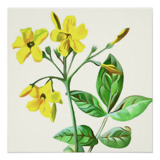 Carolina Jasmine Botanical Art Poster