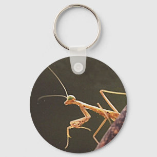 Carolina Mantis Key Ring