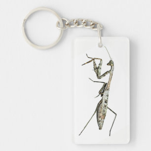 Carolina Mantis Key Ring
