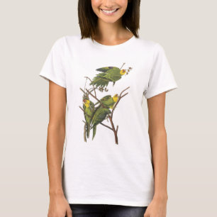 Carolina Parakeet by Audubon T-Shirt