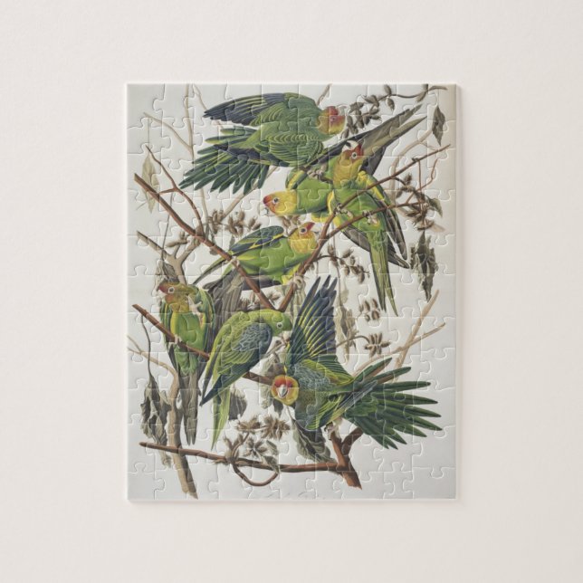 Carolina Parakeet, from 'Birds of America', 1829 Jigsaw Puzzle (Vertical)