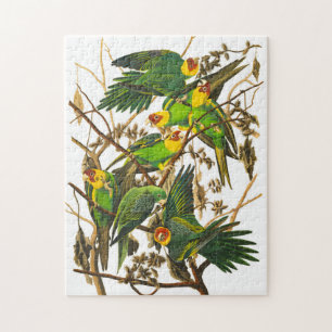 Carolina Parrot by John James Audubon Jigsaw Puzzle