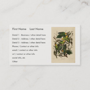 Carolina Parrot from Audubon's Birds of America Business Card