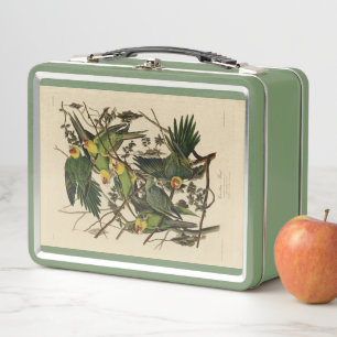 Carolina Parrot from Audubon's Birds of America Metal Lunch Box