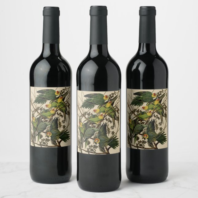 Carolina Parrot from Audubon's Birds of America Wine Label (Bottles)