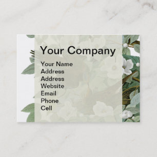 Carolina Pigeon Audubon Morning Dove Bird Business Card