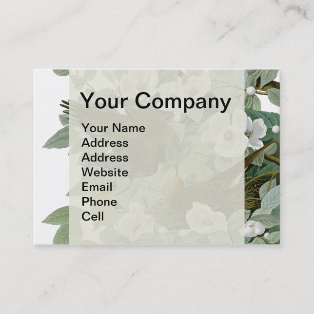Carolina Pigeon Audubon Morning Dove Bird Business Card (Front)