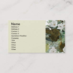 Carolina Pigeon Audubon Morning Dove Bird Business Card
