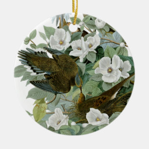 Carolina Pigeon Audubon Morning Dove Bird Ceramic Tree Decoration