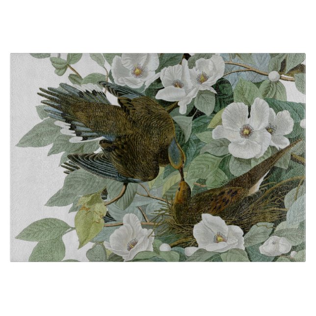 Carolina Pigeon Audubon Morning Dove Bird Cutting Board (Front)