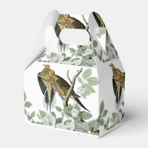 Carolina Pigeon Audubon Morning Dove Bird Favour Box