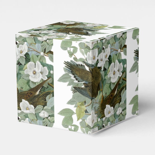 Carolina Pigeon Audubon Morning Dove Bird Favour Box (Front Side)