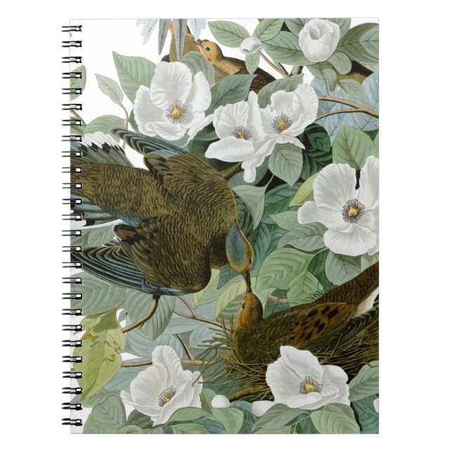 Carolina Pigeon Audubon Morning Dove Bird Spiral Notebook (Front)