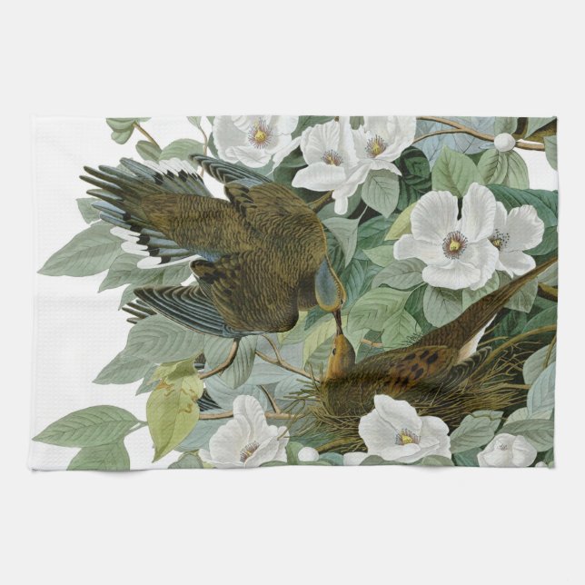 Carolina Pigeon Audubon Morning Dove Bird Tea Towel (Horizontal)