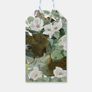 Carolina Pigeon Audubon Morning Dove Gift Tags
