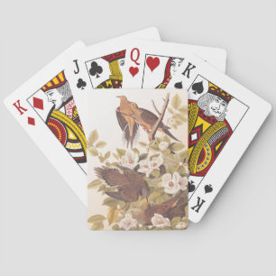 Carolina Pigeon or Mourning Dove Playing Cards