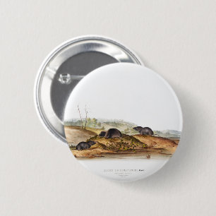 Carolina Shrew House Mouse Girl Boy Room 6 Cm Round Badge