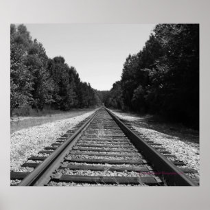 Carolina Tracks Poster