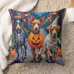 Carolina Trick-or-Treating in Halloween Costume Cushion