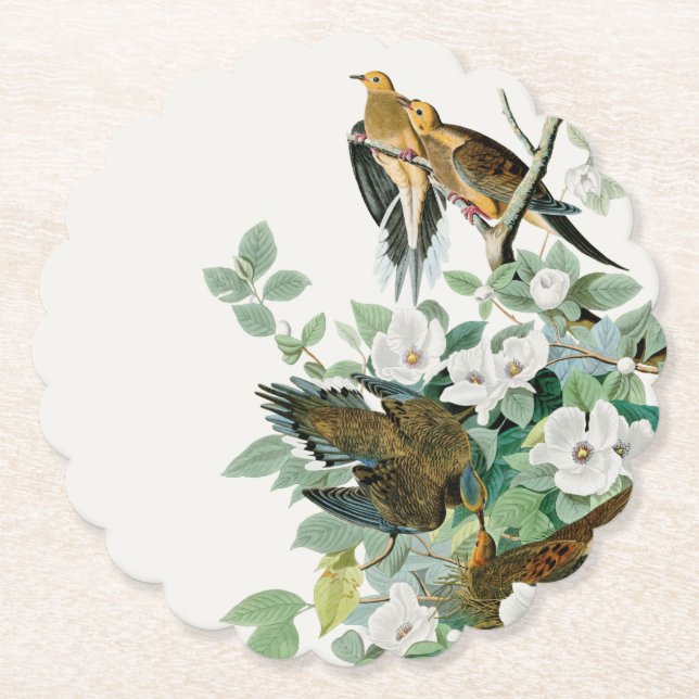 Carolina Turtle Dove, Birds of America by John Jam Paper Coaster (Front)