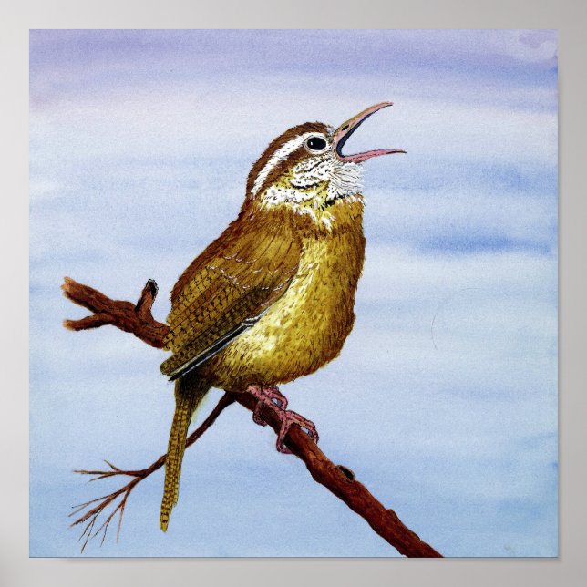Carolina Wren Art Poster (Front)