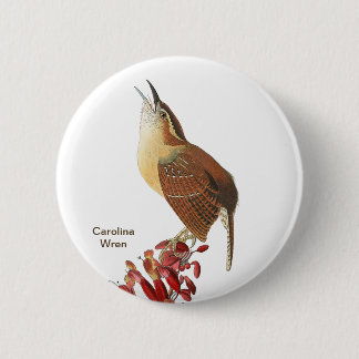 Carolina Wren, Audubon, Backyard Birdwatcher Bird 6 Cm Round Badge