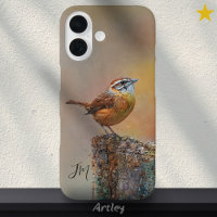 Carolina Wren Bird Painting Initials Custom Name