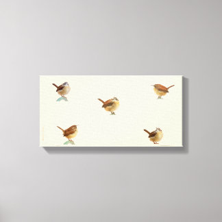 Carolina Wren Canvas Print