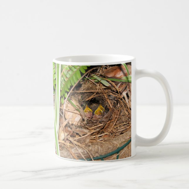Carolina Wren Family 2 Mug (Right)
