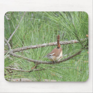 Carolina Wren in Pine Tree Mouse Pad