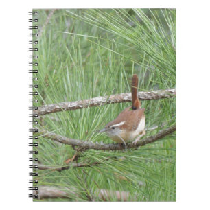 Carolina Wren in Pine Tree Notebook