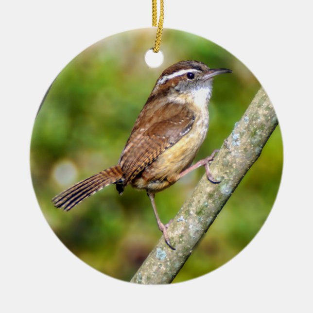 Carolina Wren Ornament (Front)