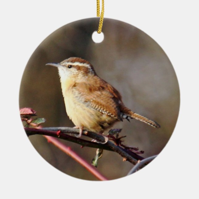 Carolina Wren Ornament (Front)