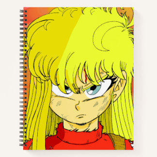 Carol's Abramova (bmc) notebook