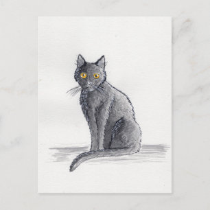 Carol's Drawing - Postcard
