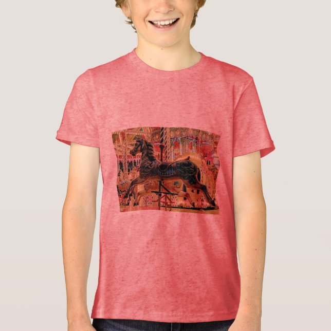 Carousal Tri-Blend Shirt (Front)