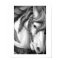 Carousel 18 Poster Print