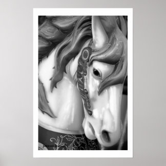 Carousel 18 Poster Print