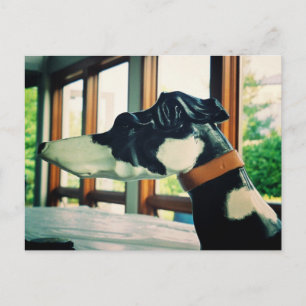 Carousel Dog Postcard