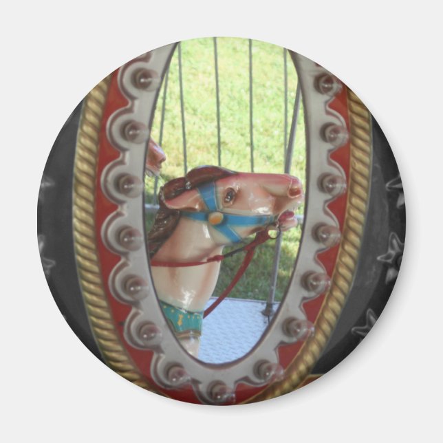 Carousel Horse In Mirror Black White Magnet (Front)
