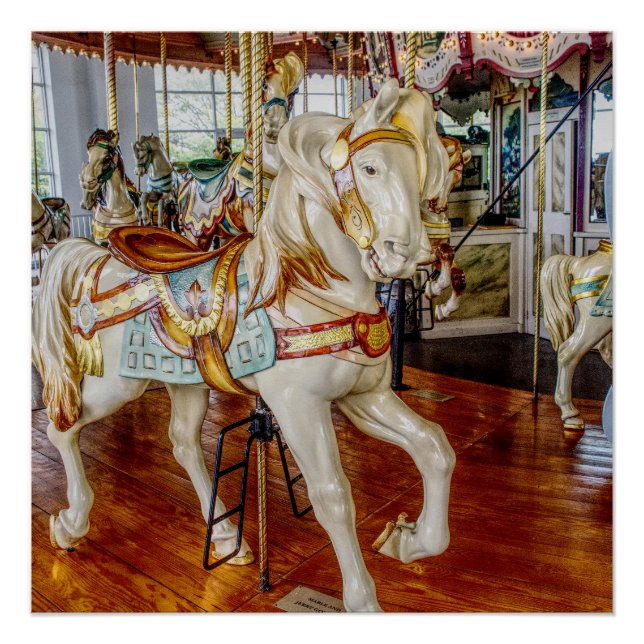 Carousel Horse Large Print (Front)