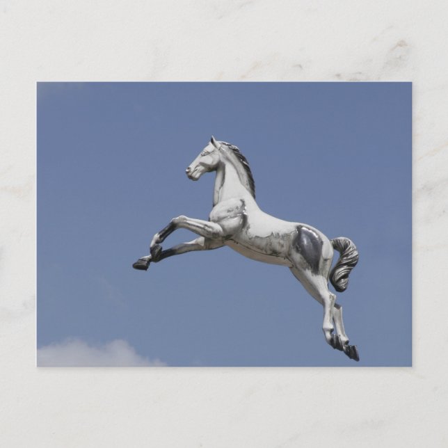 Carousel horse postcard (Front)