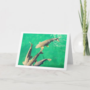Carp Card