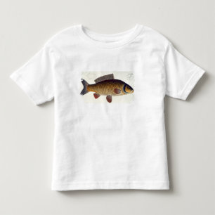 Carp (Cyprinus Carpio) plate XVI from 'Ichthyologi Toddler T-Shirt